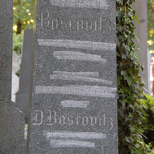 Boscovitz Friedrich