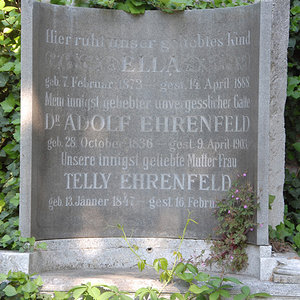 Ehrenfeld Adolf Dr.