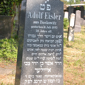 Eisler Adolf