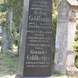 Goldberger Alexander