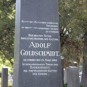 Goldschmidt Adolf