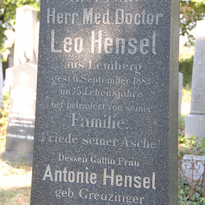 Hensel Antonie