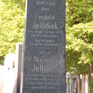 Jellinek Leopold