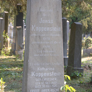 Koppenstein Jonas Johann