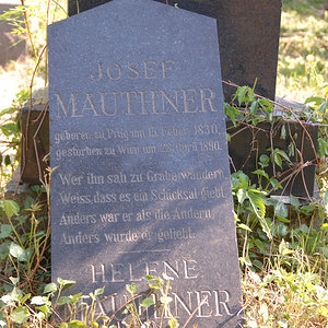 Mauthner Helene
