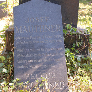 Mauthner Josef