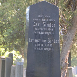 Singer Carl
