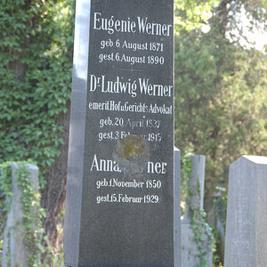 Werner Eugenie