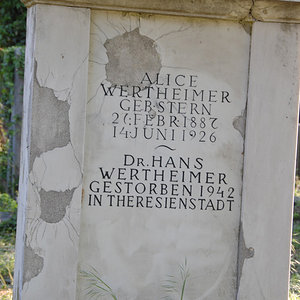 Wertheimer Alice