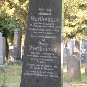 Wertheimer Rosa