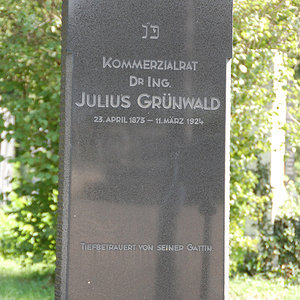 Grünwald Julius Dr.