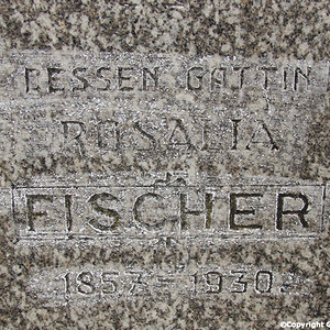 Fischer Rosalia