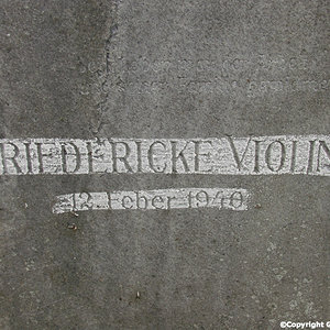 Violin Friedericke