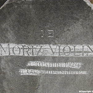 Violin Moriz