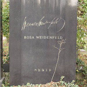 Weidenfeld Rosa