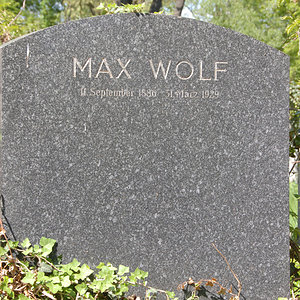 Wolf Max