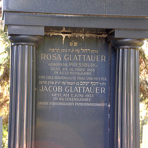 Glattauer Rosa