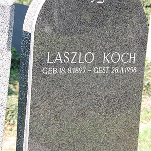 Koch Laszlo Ladislaus