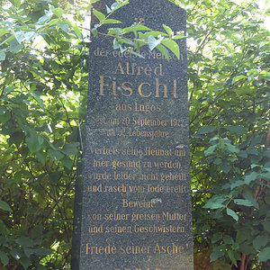 Fischl Alfred