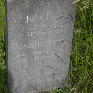 Frey Rosalia