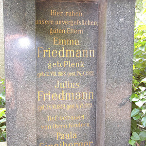 Friedmann Julius