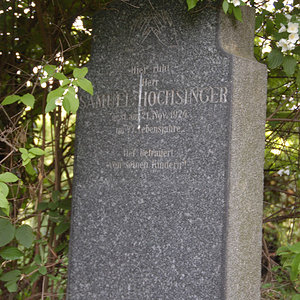 Hochsinger Samuel