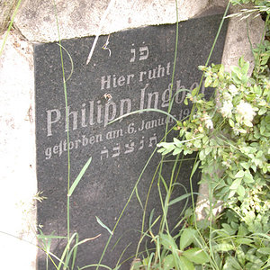 Ingber Philipp