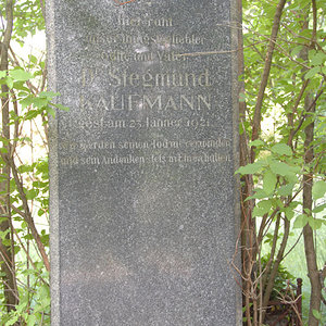 Kaufmann Siegmund Dr.