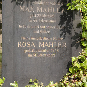 Mahler Rosa