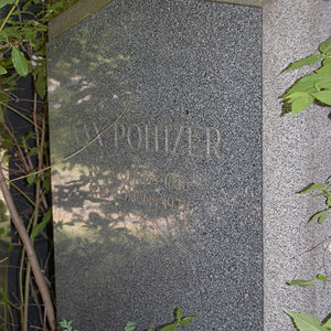 Pollitzer Max