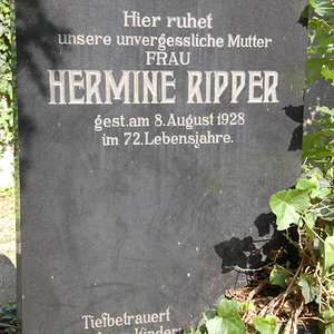 Ripper Hermine