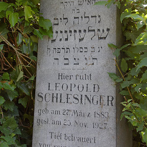Schlesinger Leopold