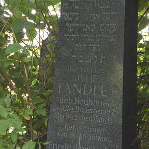 Tandler Julie