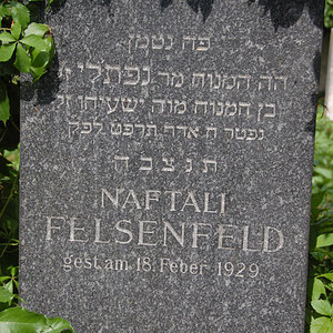Felsenfeld Naftali