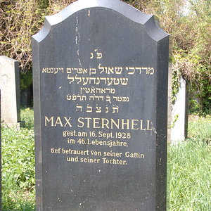 Sternhell Max