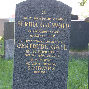 Gall Gertrude