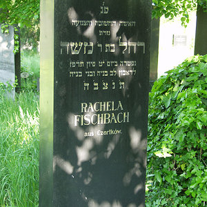 Fischbach Rachela
