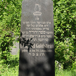 Goldstein Leopold
