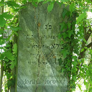 Horowitz Bertha