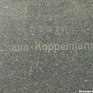 Koppelmann Chaim