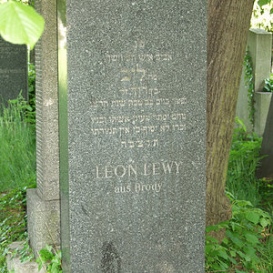 Lewy Leon Leib