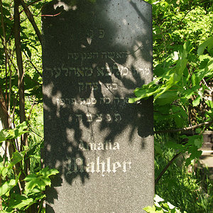 Mahler Amalia Malke