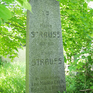 Strauss Martha