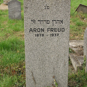 Freud Aron