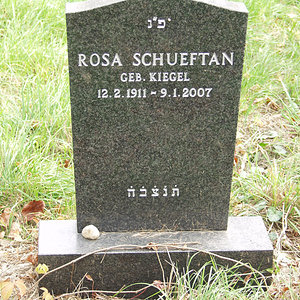 Schueftan Rosa
