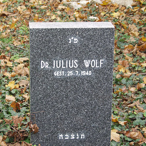 Wolf Julius Israel Dr.