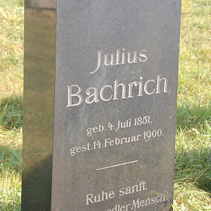 Bachrich Julius