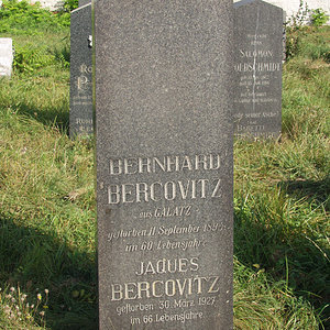 Bercovitz Bernhard