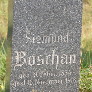 Boschan Sigmund
