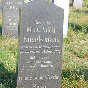 Engelsmann Adolf Dr.